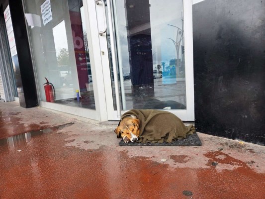 A W618702 03 533X400