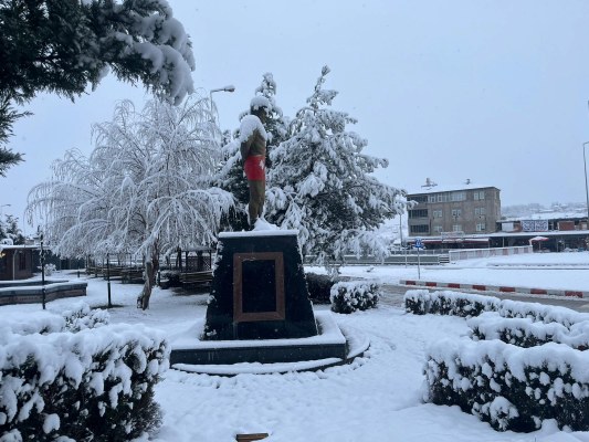 A W619041 01 533X400