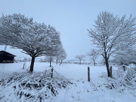 A W619041 05 533X400