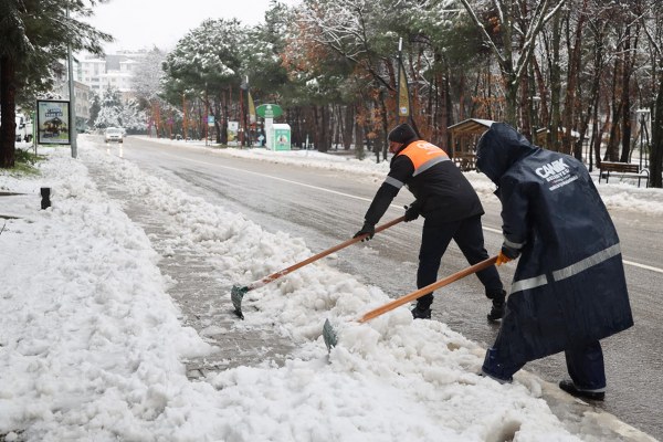 A W619224 02 600X400