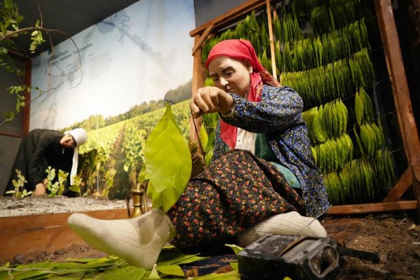 A W619788 03 600X400