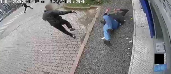 A W620136 03 600X259