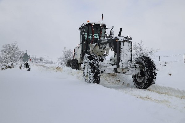 A W620215 05 600X400