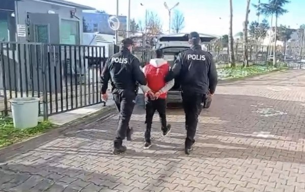 A W620255 02 600X379