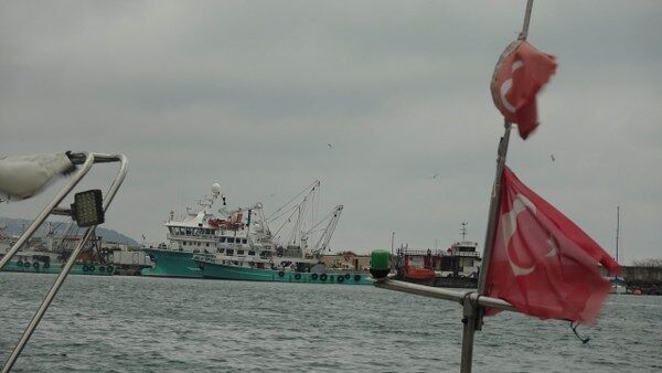 A W621647 01 600X338