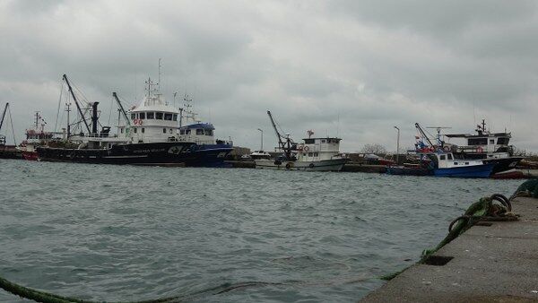 A W621647 04 600X338