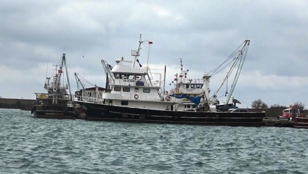 A W622189 03 600X338