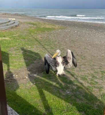 A W622527 03 367X400