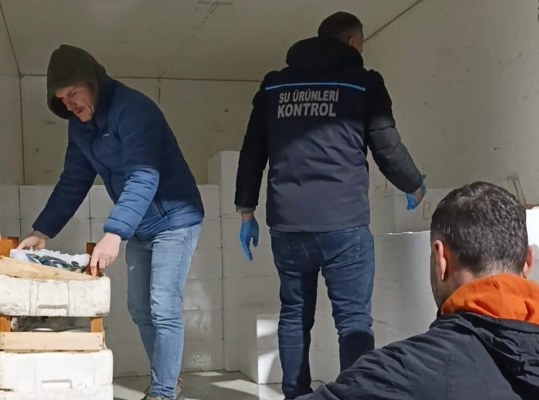 A W623652 02 539X400