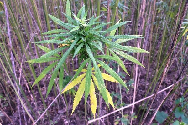 A W625718 04 600X400