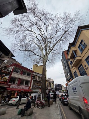 A W626152 03 300X400