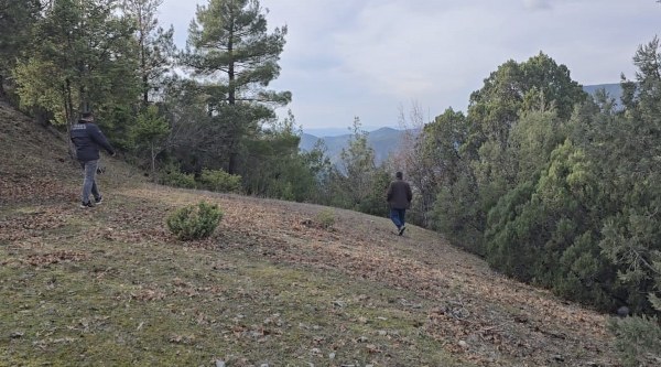 A W627213 06 600X333