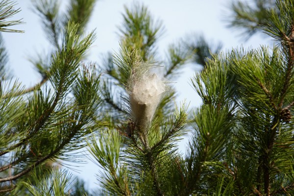 A W628993 03 600X400