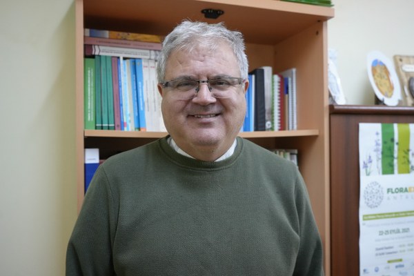 A W628993 04 600X400