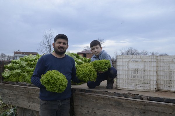 A W629332 02 600X397