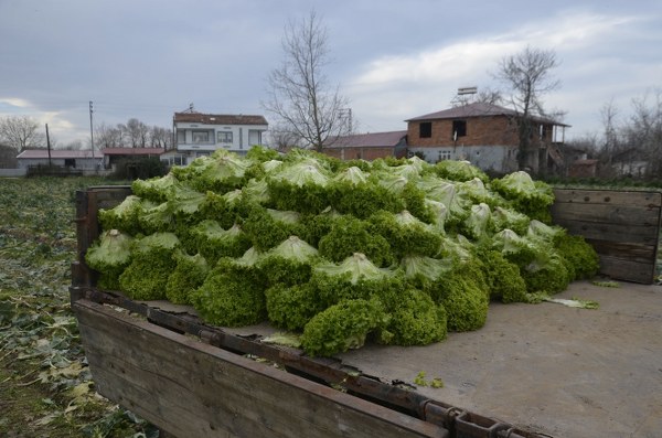 A W629332 03 600X397