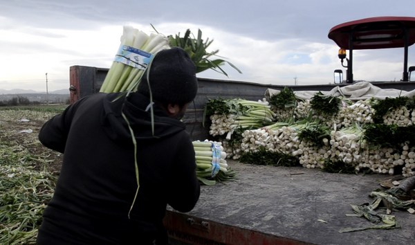 A W629774 03 600X354