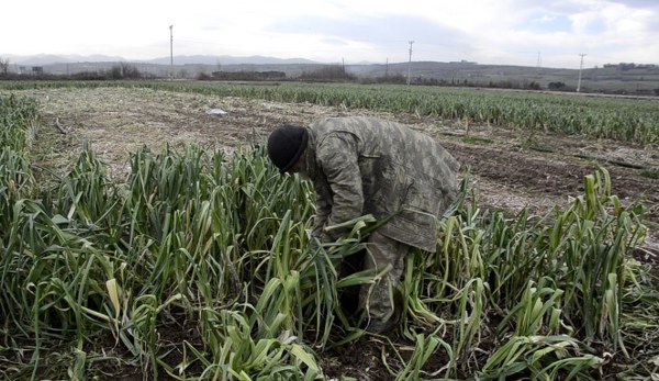 A W629774 04 600X347