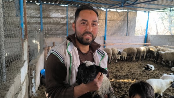 A W631664 01 600X338