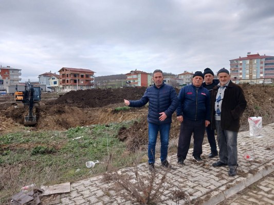 A W631676 03 533X400