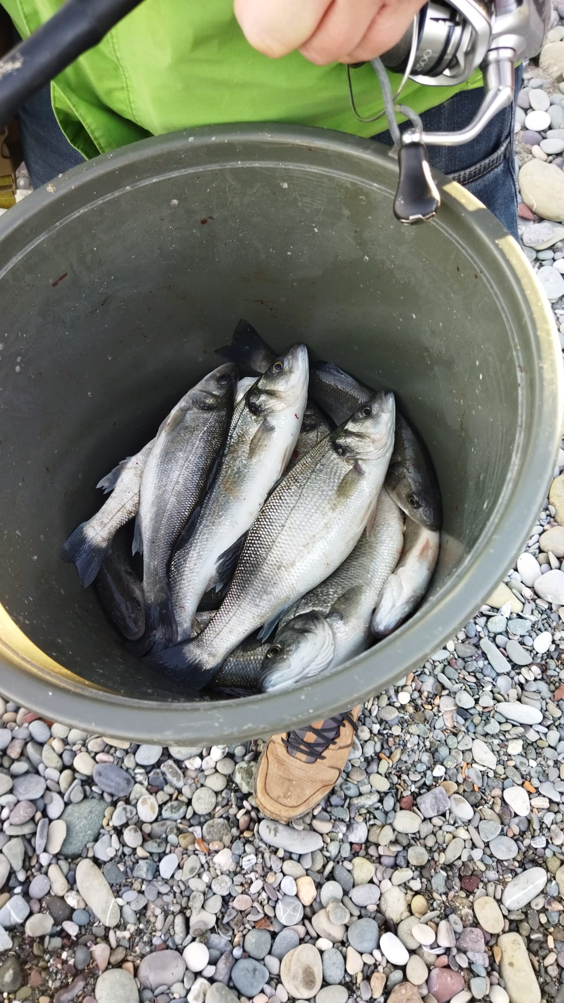 B A L I K K A F E S I Y I R T I L D I O L T A S I N I A L A N S A H 1099366 326333