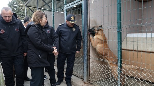 O M U T A R A F I N D A N Y E T I S T I R I L E N G O R E V K O P E G I 1129423 335346 600X337