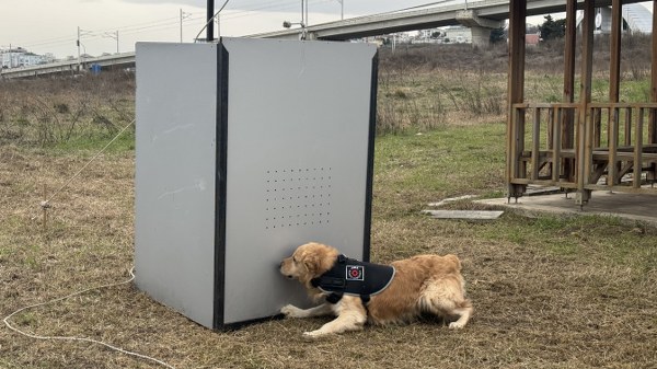 O M U T A R A F I N D A N Y E T I S T I R I L E N G O R E V K O P E G I 1129424 335346 600X337