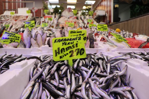 ‘ S O G U K H A V A N E D E N I Y L E H A M S I L E R G U R C I S T A N 1097580 325788 600X400