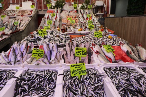 ‘ S O G U K H A V A N E D E N I Y L E H A M S I L E R G U R C I S T A N 1097581 325788 600X400