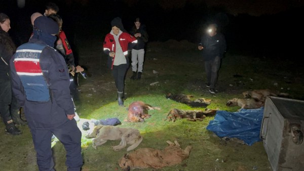 A W633765 02 600X338