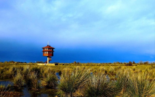 A W636780 01 600X374