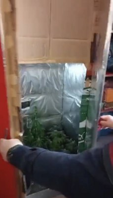 A W640551 03 229X400