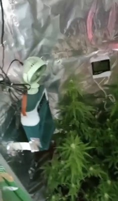 A W640551 05 235X400