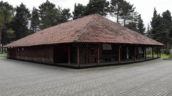 A W641079 02 600X338