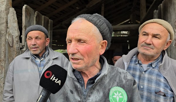 A W642748 03 600X347