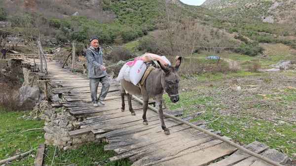 A W642748 04 600X338