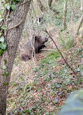 A W644508 01 291X400