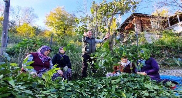 A W644952 01 600X324