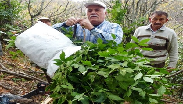 A W644952 02 600X342