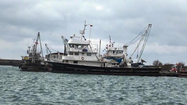 A W645392 01 600X338