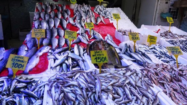 A W645392 02 600X338