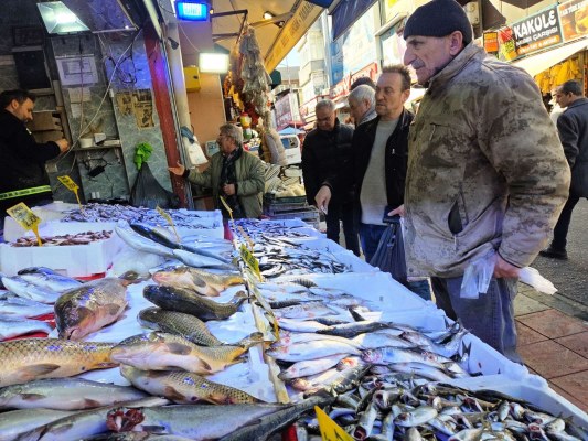 A W647021 03 533X400