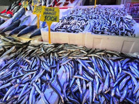 A W647021 04 533X400