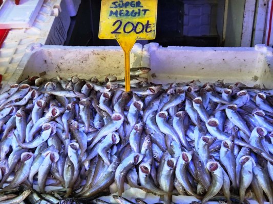 A W647021 05 533X400