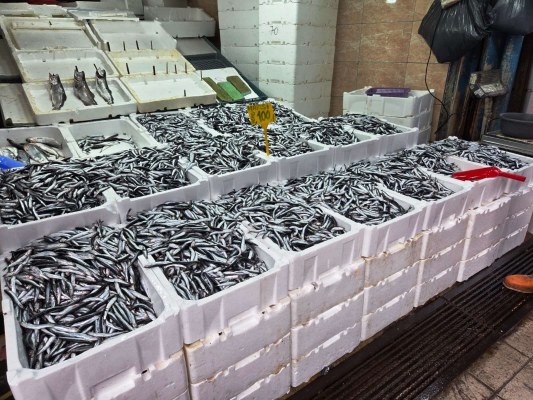 A W648650 03 533X400