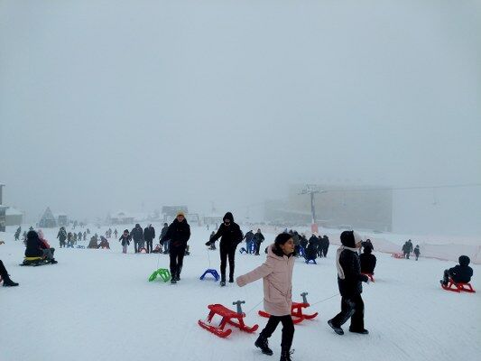 A W649493 03 533X400