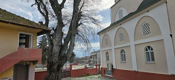 A W650099 03 600X277