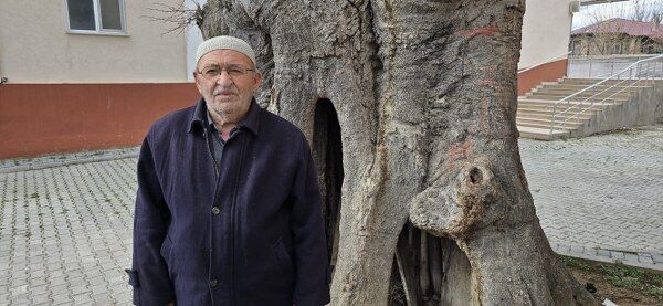 A W650099 05 600X277