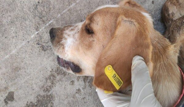 A W651489 01 600X350