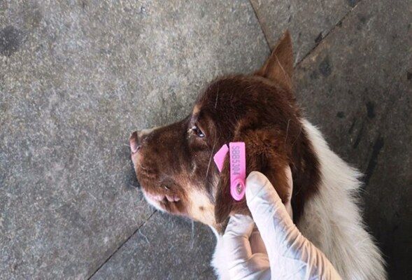 A W651489 02 589X400